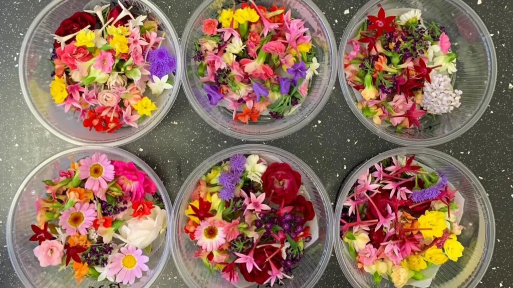 How to Grow Edible Flowers Indoors: Benefits and Recipes
